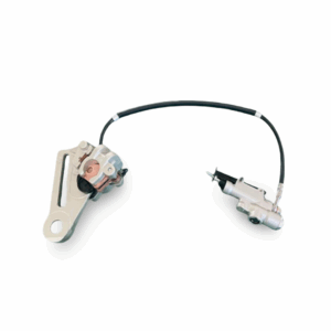 Rear Brake Assembly