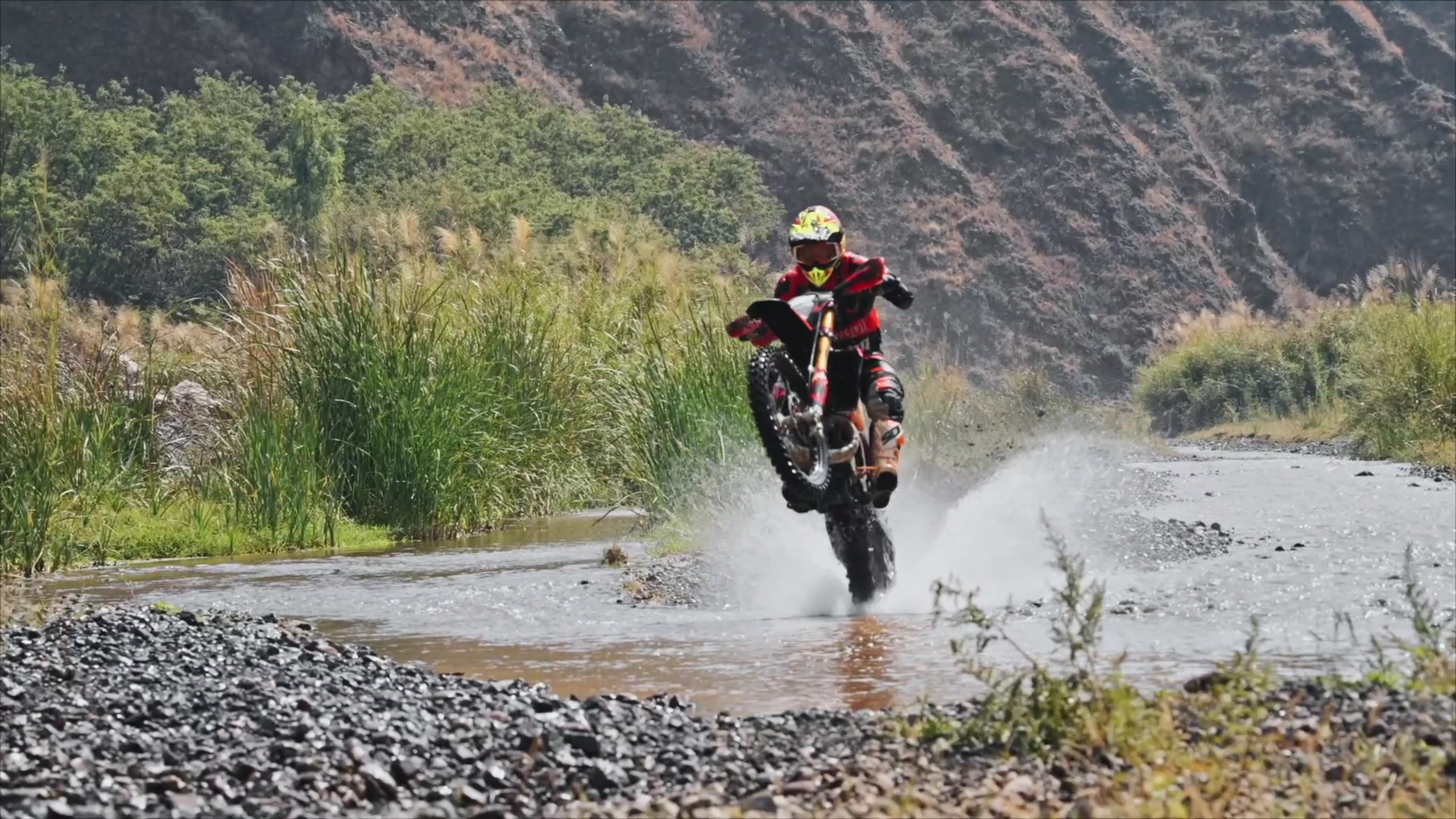 Which is Better for Trail Riding: Electric  or Gas?